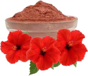 51yQRqPkHmL._AC_UF1000,1000_QL80_ SWARNYUGA GUDHAL Powder