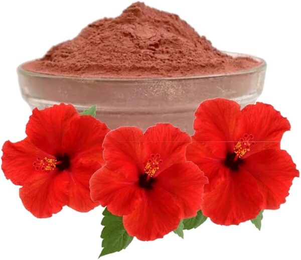 SWARNYUGA GUDHAL Powder