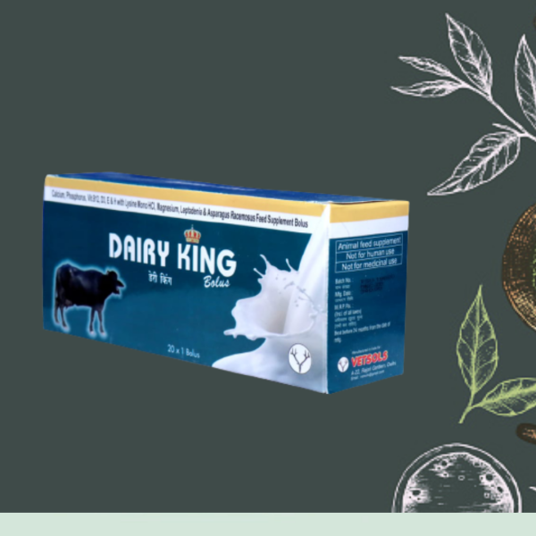 DAIRY KING Bolus & Powder