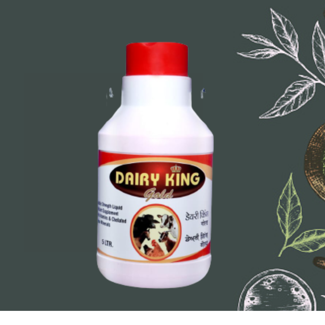 DAIRY KING GOLD Calcium DAIRY KING GOLD Calcium